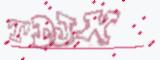 验证码