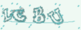 验证码