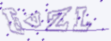 验证码